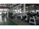 Single-Layer/Multi-Layer APET PETG CPET Sheet Extrusion Line